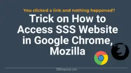 Trick on How to Access SSS Website using Google Chrome and Mozilla