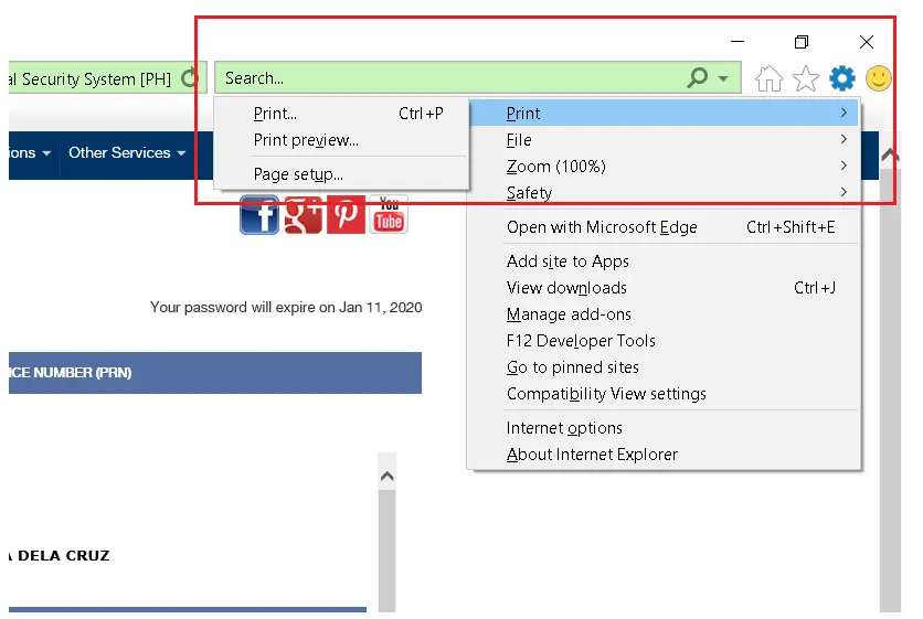 How to Get Your SSS Static Information in the SSS Website 4